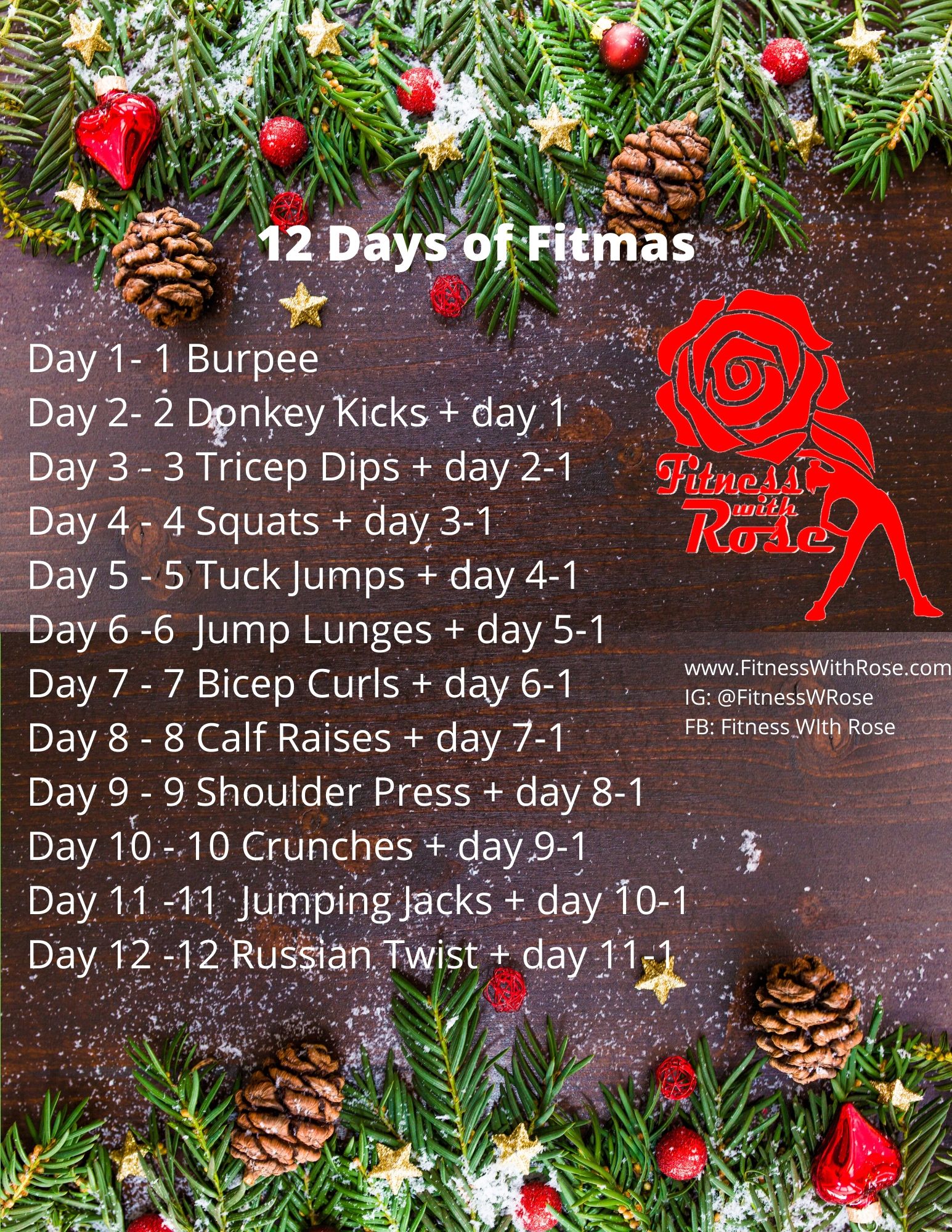 12 Days of Fitmas